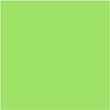 913 - Kiwi