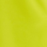 6102 EVENING PRIMROSE