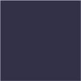 199 - Navy